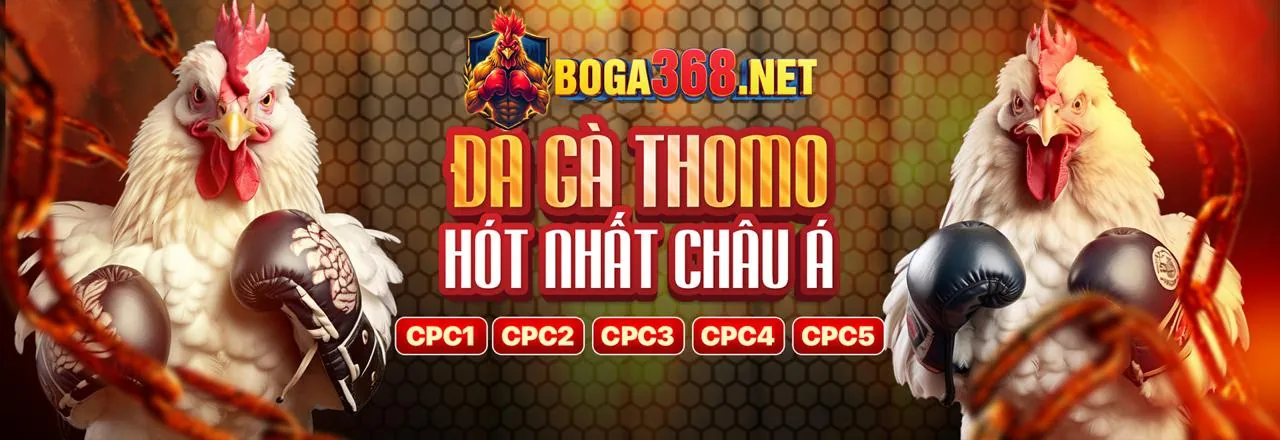 Tin tức và cập nhật mới nhất từ 99vz đăng nhập